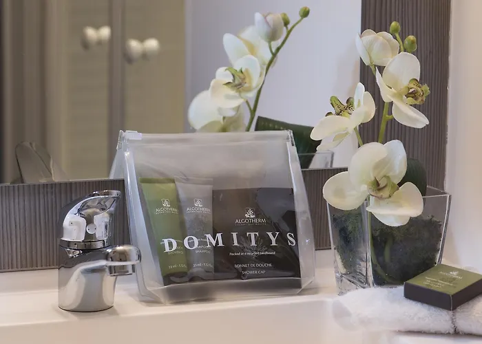 Seniors Domitys Le Pupitre D'or Aparthotel 4*